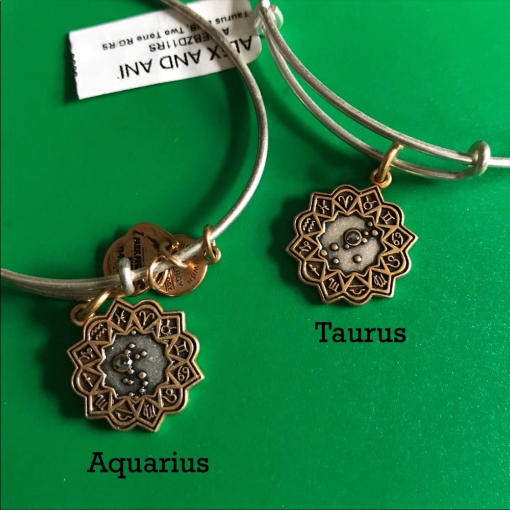 Alex and Ani two tone zodiac bangles astrology NWT - Picture 2 of 4